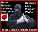 Ninja Society