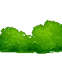 cute bear behind the bush