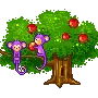 2 monkey on apple tree