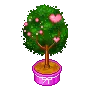 love tree