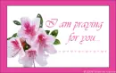 I am praying for you