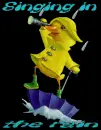 duck