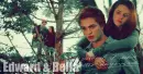 edward bella