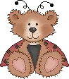bear bug