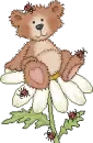 cute bear