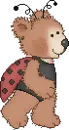 bear bug