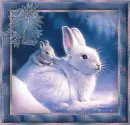 winter bunnies