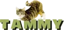 cat on name Tammy