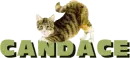 cat on name Candace