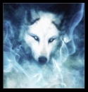Under The Spell