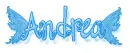 wings andrea