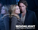 moonlight background