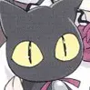 Kitten