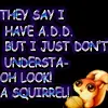 oo a squirrell