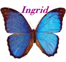 Butterfly - Ingrid