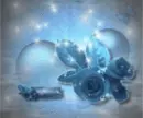 Blue Rose