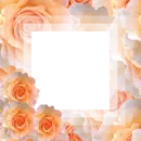Orange Rose