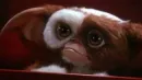 gizmo