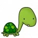turtle cuteness