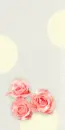 PINK ROSES