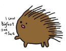 i saw bigfoot once