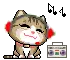 music lover cat