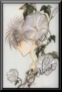 Wilma