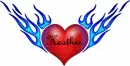Burning Heart Heather