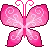 a cute butterfly