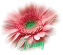 Tammy