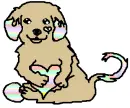 Rainbow dog
