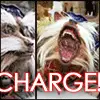 Sir Didymus