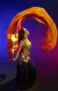 Belly Dancer