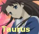 Torhu Taurus
