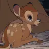 bambi006