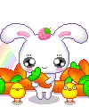 Cute