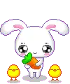 Cute