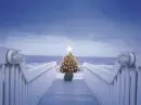 Christmas Tree Beach