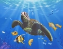 sea