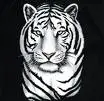 White Tiger