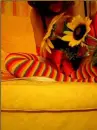 funny stripes