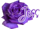 jess