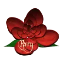 Perry 