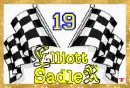 elliott sadler