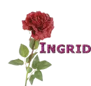 Rose-Ingrid