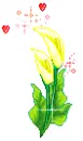 flowers sparkle