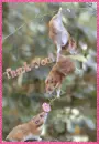 Thank You!