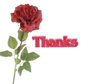 Thank you-Rose