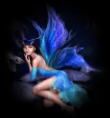 blue fairy