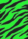 ZEBRA 2